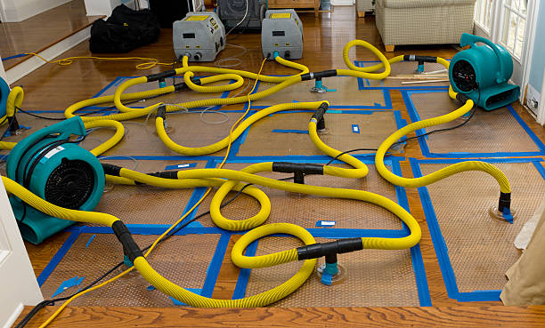 Professional Water Damage Restoration technician working in Aberdeen Proving Ground, MD